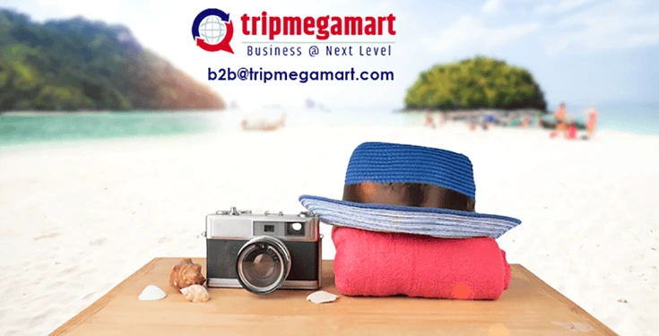 points-to-ensure-the-success-of-your-travel-business.webp
