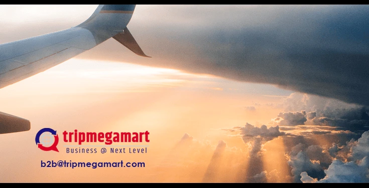 what-is-the-importance-of-white-label-solution-for-travel-startups.webp
