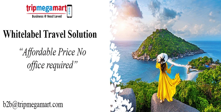 white-label-travel-portal-development-for-travel-agencies-in-egypt.webp